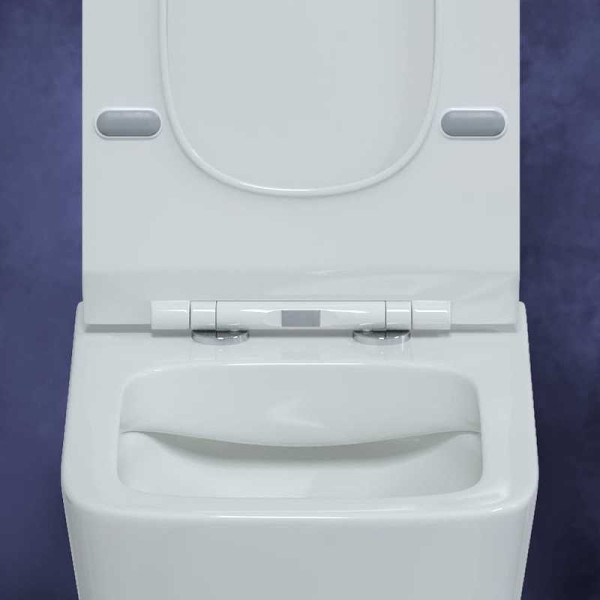 Унитаз подвесной Berges Floe 550*360*335 сиденье дюропласт Floe Slim SO, микролифт (82121) Унитаз подвесной Berges Floe 550*360*335 сиденье дюропласт Floe Slim SO, микролифт (82121)