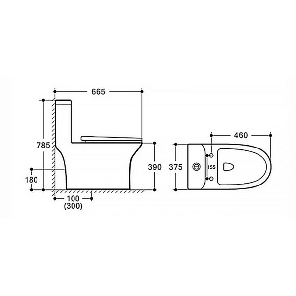 Унитаз напольный Sente безободковый моноблок с сиденьем микролифт с функцией биде 650x380x770 (AZ-8614B)