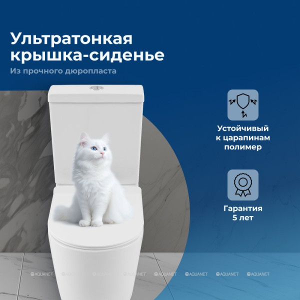 Чаша унитаза Aquanet ZV-2 C1 с сиденьем с soft-close белый (336320)