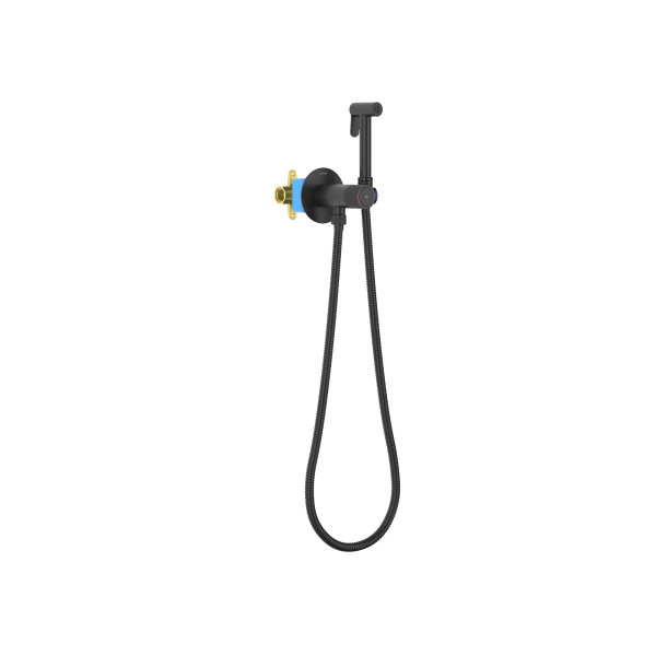 Смеситель с гигиеническим душем Aquatek Бетта черный матовый (AQ1023MB) Смеситель с гигиеническим душем Aquatek Бетта черный матовый (AQ1023MB)