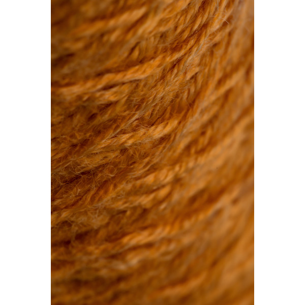 Картридж для удаления железа Гейзер Fe - 10SL (для горячей и холодной воды) (28123) Картридж для удаления железа Гейзер Fe - 10SL (для горячей и холодной воды) (28123)