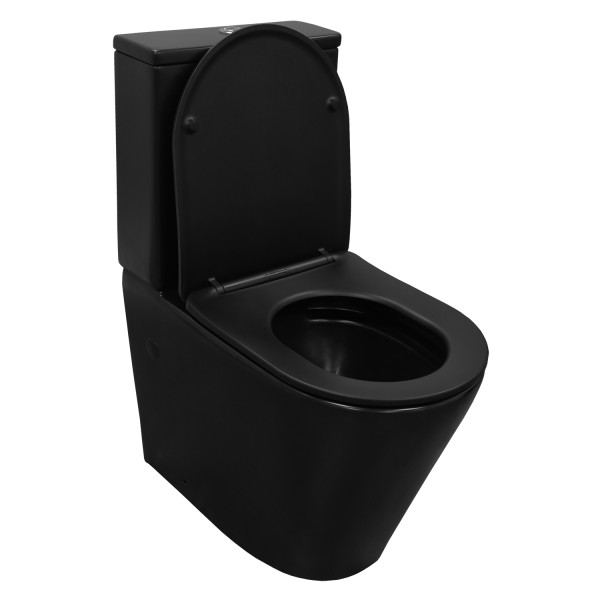 Унитаз напольный Azario Black Queen с сиденьем с микролифтом черный (AZ-8380) Унитаз напольный Azario Black Queen с сиденьем с микролифтом черный (AZ-8380)