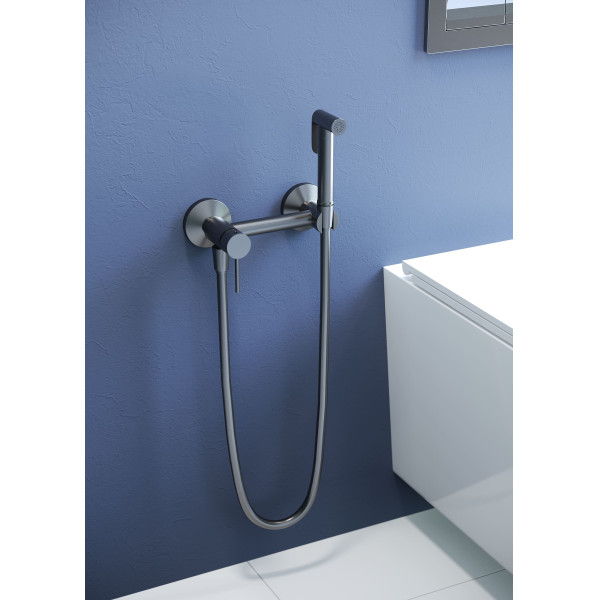 Смеситель с гигиеническим душем RGW Shower Panels серый Brush (581408215-11)