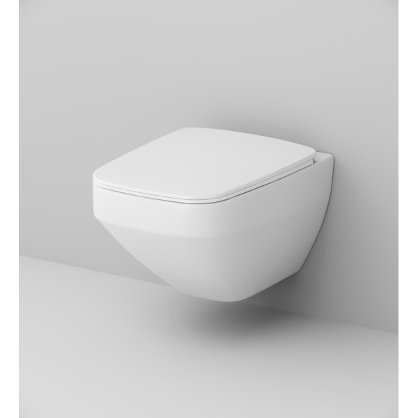 Унитаз подвесной AM.PM Inspire V2.0 FlashClean с сиденьем микролифт (C50A1700SC) Унитаз подвесной AM.PM Inspire V2.0 FlashClean с сиденьем микролифт (C50A1700SC)