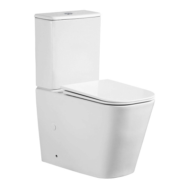 Унитаз напольный Azario Унитаз с сиденьем с микролифтом белый (AZ-1255A)