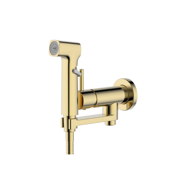 Смеситель с гигиеническим душем Aquatek Ника золото шлифованное (AQ1819BG)