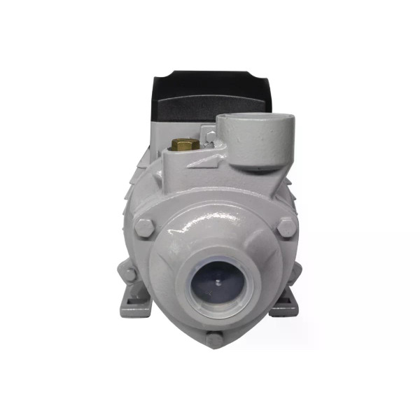 Насос поверхностный Ресанта ПСН-3300Ч (77/4/3)