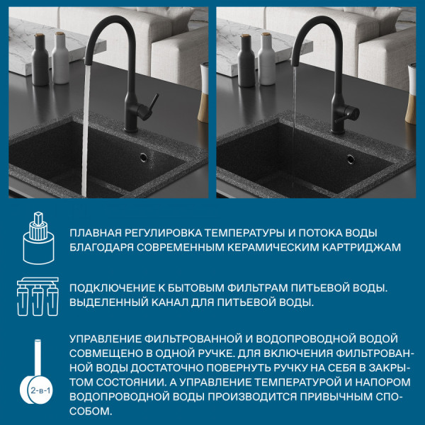 Смеситель для кухни Santek Себа с переключателем на фильтр черный (WH5A43020N001)