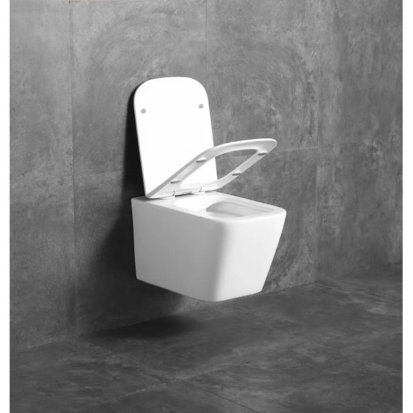 Унитаз подвесной DLC 510x360x350 безободковый микролифт, белый (D110D100251) Унитаз подвесной DLC 510x360x350 безободковый микролифт, белый (D110D100251)