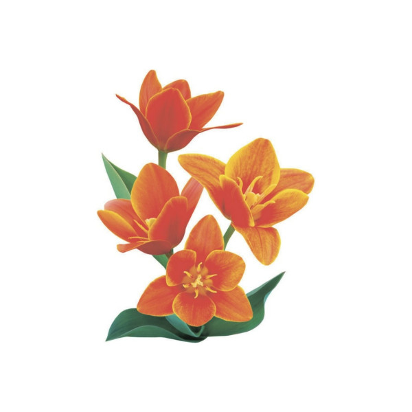 Шторка для ванны текстильная Melodia 180х200 см Оранжевое настроение (MZ-144) Шторка для ванны текстильная Melodia 180х200 см Оранжевое настроение (MZ-144)