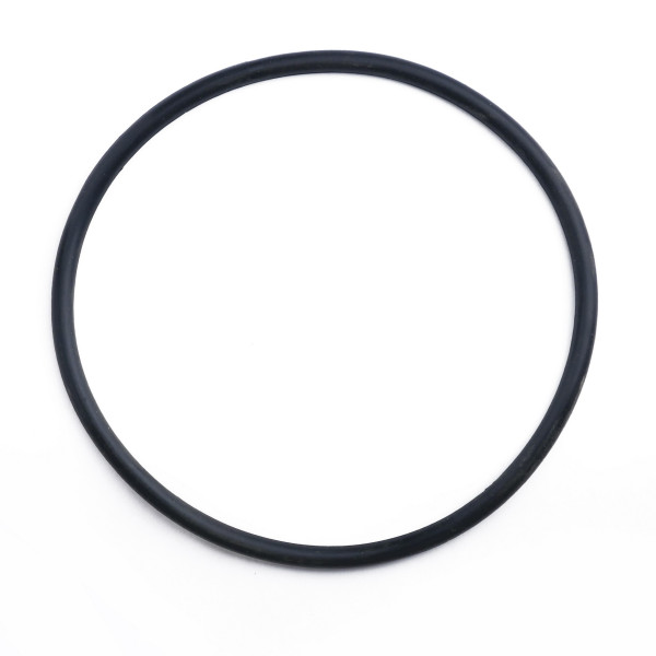 Кольцо уплотнительное для фильтра Гейзер-Эко (23526) Кольцо уплотнительное для фильтра Гейзер-Эко (23526)