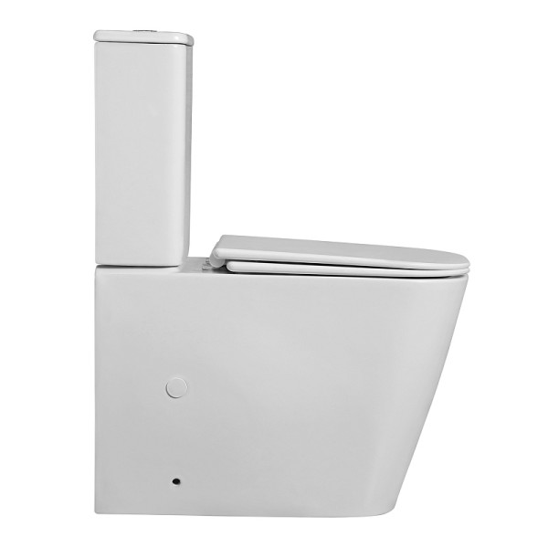 Унитаз напольный Azario Унитаз с сиденьем с микролифтом белый (AZ-1255A)