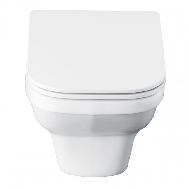 Инсталляция с унитазом с клавишей смыва Santek Лайн (1WH501750)