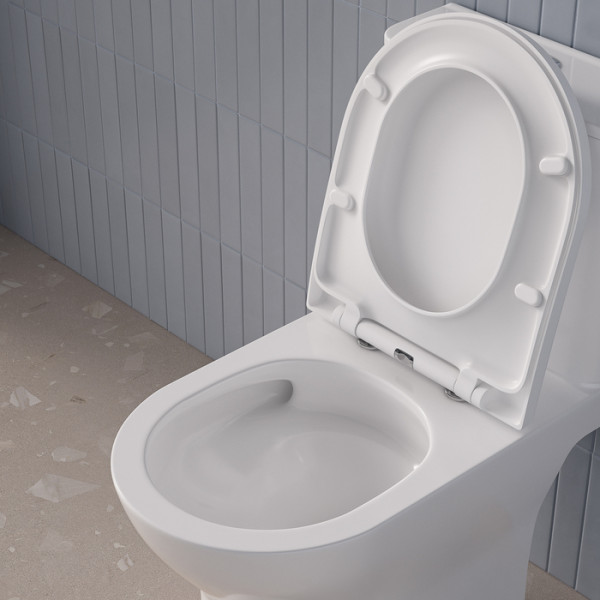 Унитаз-компакт безободковый с системой смыва Торнадо Zodiac Iddis (ZODRDSEi24)