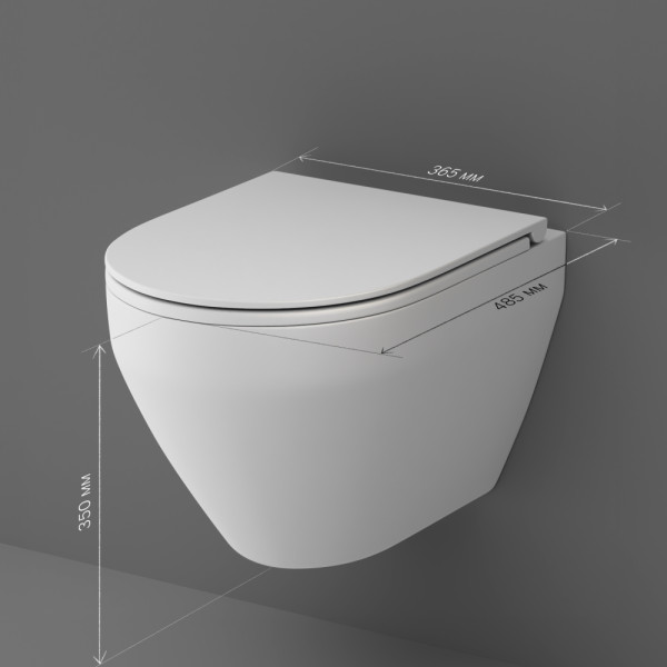 Унитаз подвесной AM.PM Spirit V2.0 FlashClean с сиденьем микролифт, белый матовый (C701700MWSC)