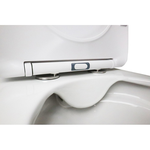 Унитаз напольный Azario Flin с сиденьем с микролифтом белый (AZ-1363C)