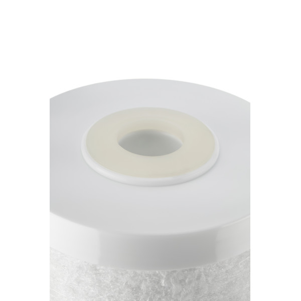 Картридж для удаления железа Гейзер Fe-20BB (для холодной воды) (28200)