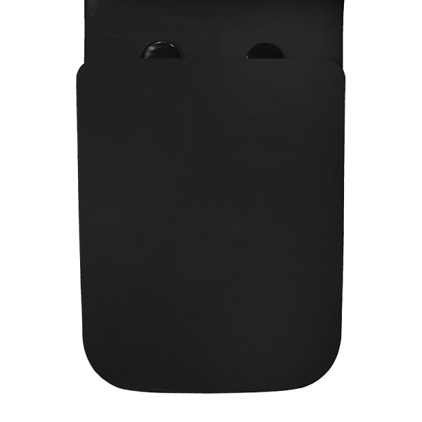 Унитаз напольный Azario Gressa с сиденьем с микролифтом черный (AZ-1111MB)