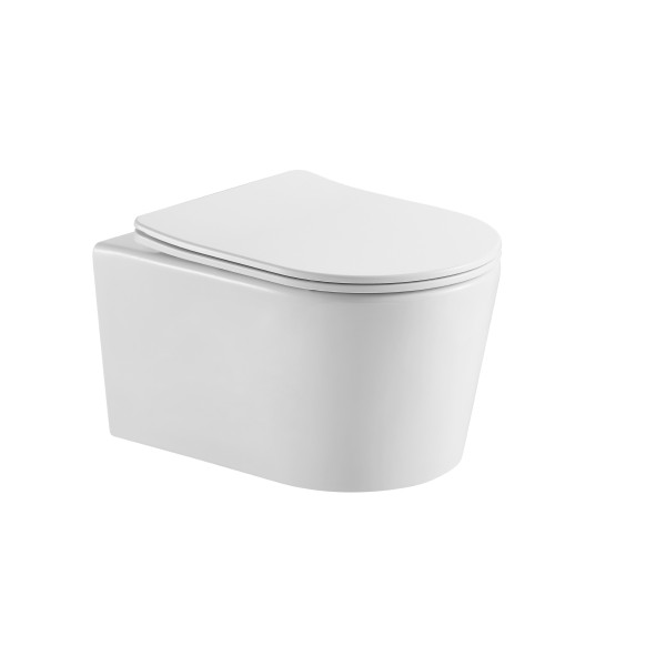 Унитаз подвесной Aquatek Оберон белый (AQ1363WT-00)