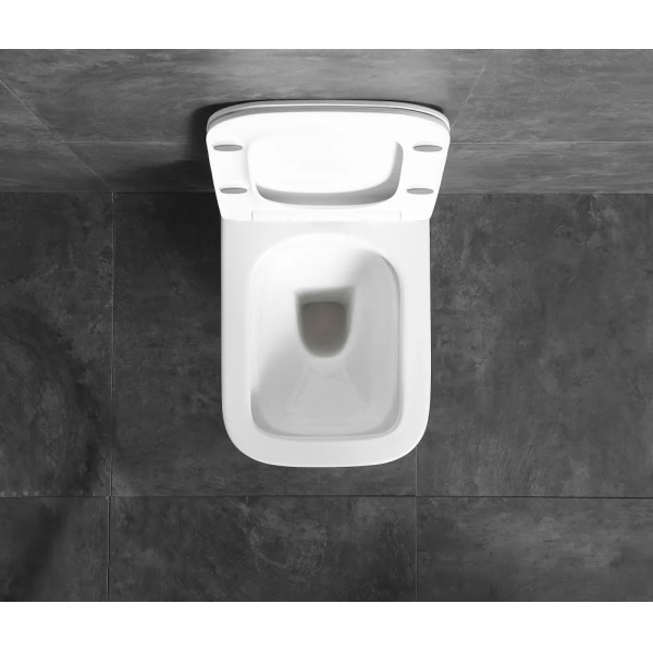 Унитаз подвесной DLC 510x360x350 безободковый микролифт, белый (D110D100251) Унитаз подвесной DLC 510x360x350 безободковый микролифт, белый (D110D100251)