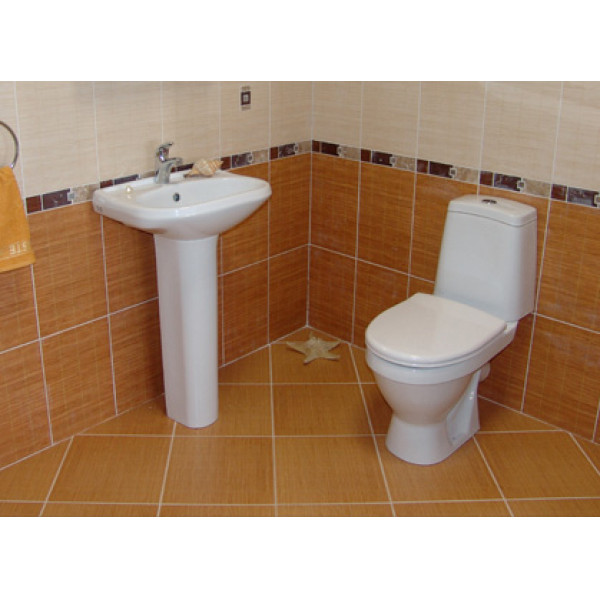 Унитаз-компакт Sanita Лада стандарт 605х340х775 с сиденьем полипропилен, косой выпуск Унитаз-компакт Sanita Лада стандарт 605х340х775 с сиденьем полипропилен, косой выпуск