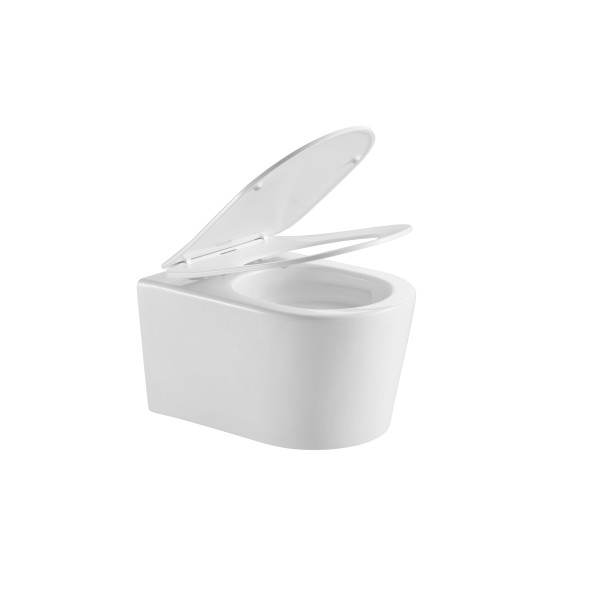 Унитаз подвесной Aquatek Оберон белый (AQ1363WT-00)