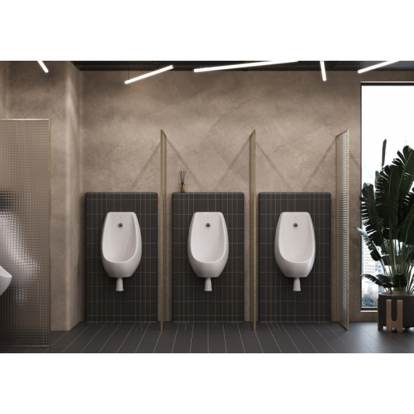 Писсуар подвесной Roca Access 43x31,5x100,5 белый (Z.RU93.1.018.1) Писсуар подвесной Roca Access 43x31,5x100,5 белый (Z.RU93.1.018.1)