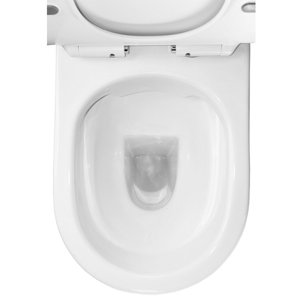 Унитаз напольный Azario Унитаз с сиденьем с микролифтом белый (AZ-2311)