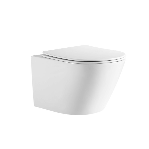 Унитаз подвесной Aquatek Либерти белый (AQ1999T-00) Унитаз подвесной Aquatek Либерти белый (AQ1999T-00)