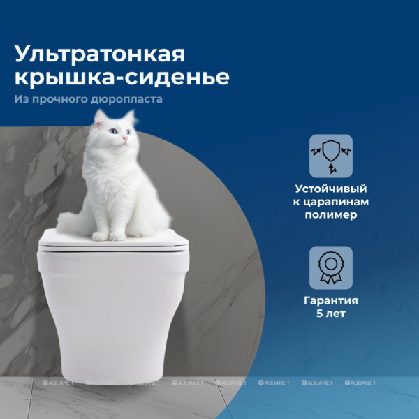 Унитаз подвесной Aquanet Elegant W с сиденьем с soft-close белый (280960)