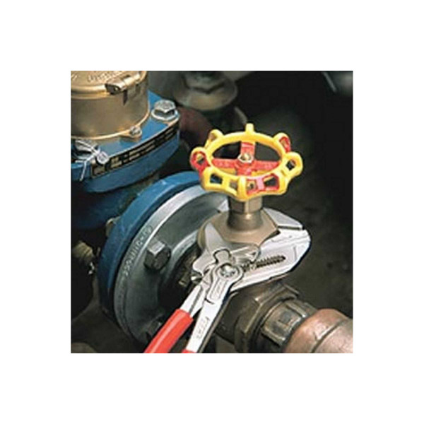 Ключ клещевой Knipex до 52 мм L-250 CR-V (KN-8603250) Ключ клещевой Knipex до 52 мм L-250 CR-V (KN-8603250)