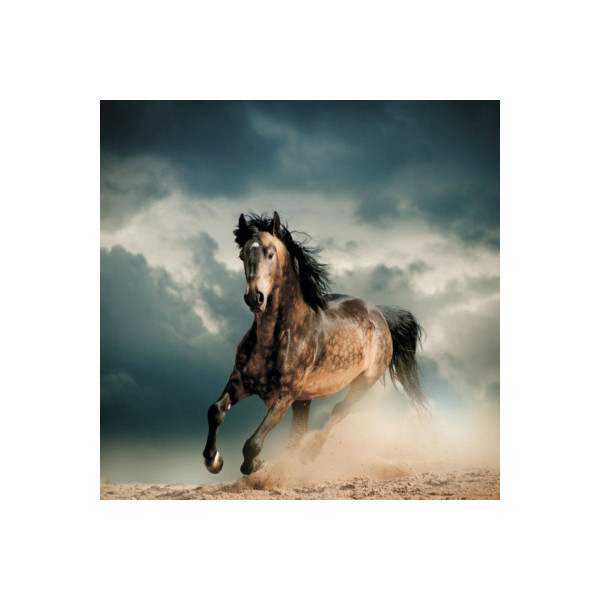 Шторка для ванны текстильная Melodia 180х200 см Гордый скакун (MZ-136)