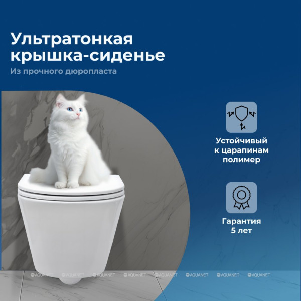 Унитаз подвесной Aquanet LAKE-W белый (316461) Унитаз подвесной Aquanet LAKE-W белый (316461)