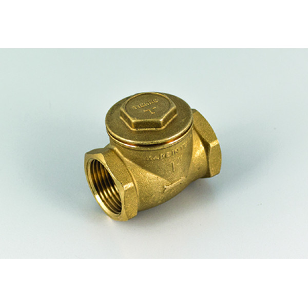 Клапан обратный горизонтальный Tiemme 3/4" (3500016) Клапан обратный горизонтальный Tiemme 3/4" (3500016)