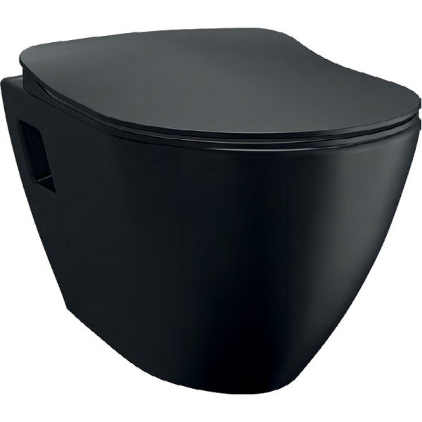 Унитаз подвесной с биде Creavit 35,5x50,2x34,5 черный матовый (TP32,5-00SM00E-0000) Унитаз подвесной с биде Creavit 35,5x50,2x34,5 черный матовый (TP32,5-00SM00E-0000)