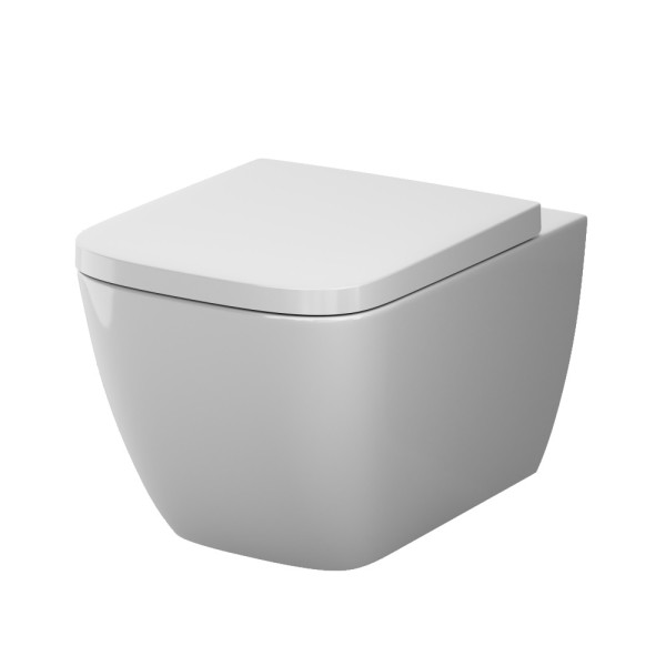 Унитаз подвесной AM.PM Gem Aquaspin с сиденьем микролифт белый (C901901SC)