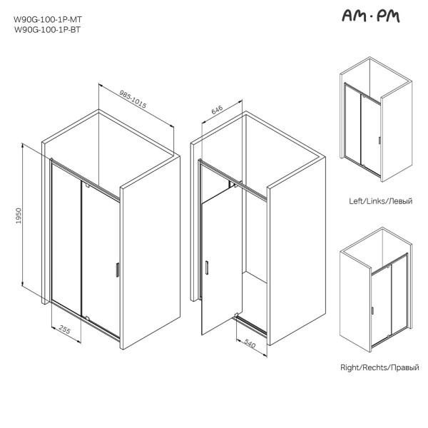 Душевая дверь AM.PM Gem 100x195 стекло прозрачное, профиль хром матовый (W90G-100-1P-MT)