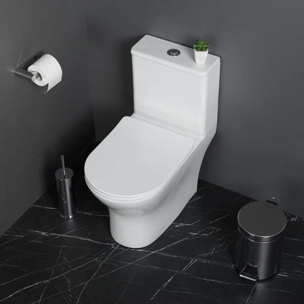 Унитаз-моноблок BelBagno Lounge безободковый (BB8618CPR-MN/SC)
