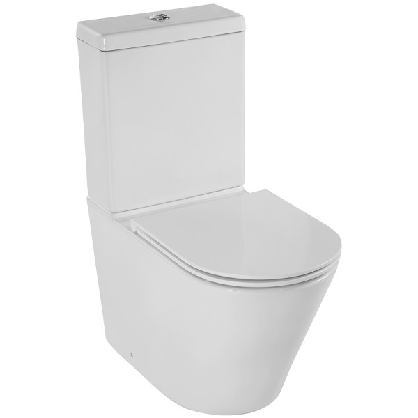 Унитаз напольный Jacob Delafon Rodin+ без обода с креплениями (UJAB102-00)