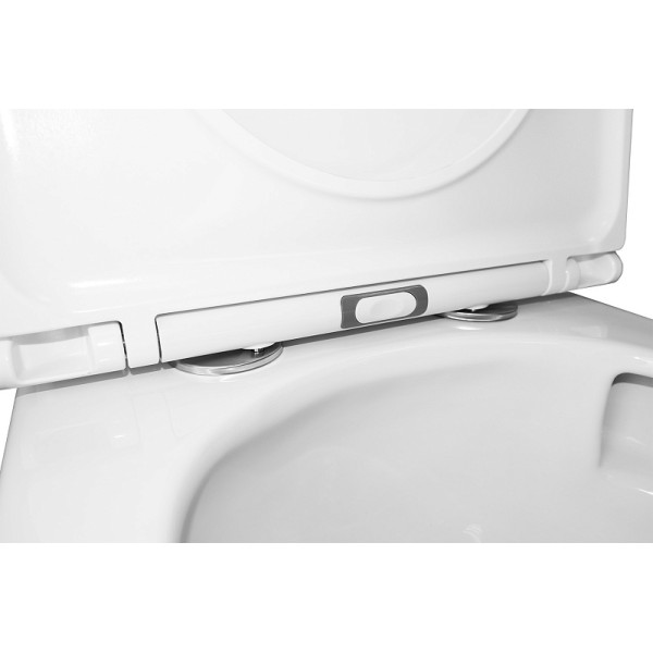 Унитаз напольный Azario Conto с сиденьем с микролифтом белый (AZ-T005BR)