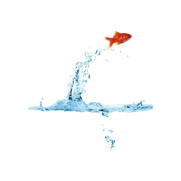 Шторка для ванны текстильная Melodia 180х200 см Золотая рыбка (MZ-45)