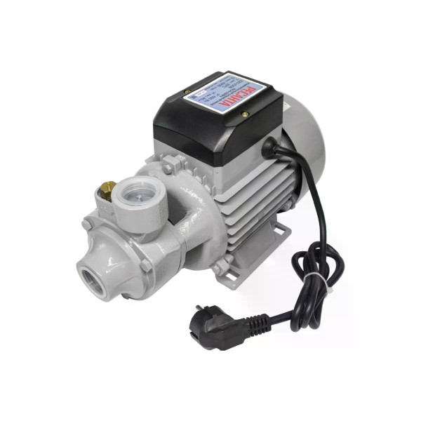 Насос поверхностный Ресанта ПСН-3300Ч (77/4/3)