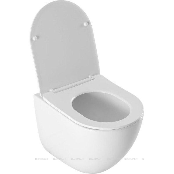 Унитаз подвесной Aquanet EcoV W с сиденьем с soft-close белый (348039)