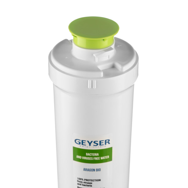 Картридж Гейзер Арагон Смарт Био (30080)