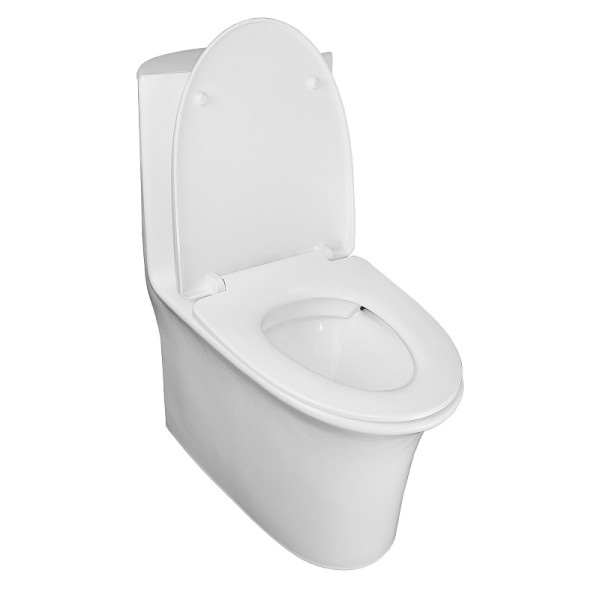 Унитаз-моноблок Luna с сиденьем микролифт 770x390x710 (AZ-1037)