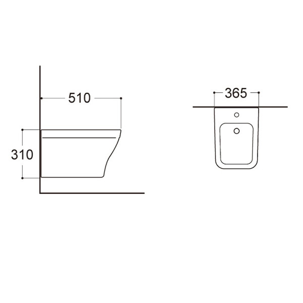 Биде подвесное Aquatek Амадео белое (AQ1663-00)