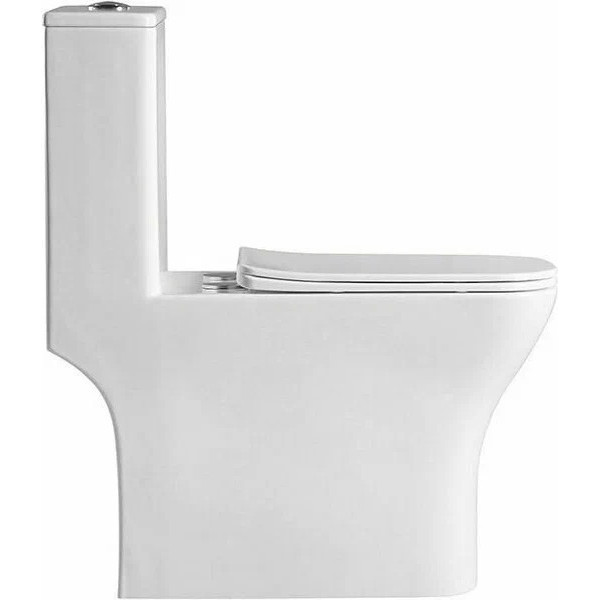 Унитаз-моноблок BelBagno Neon безободковый (BB8617CPR-MN/SC) Унитаз-моноблок BelBagno Neon безободковый (BB8617CPR-MN/SC)