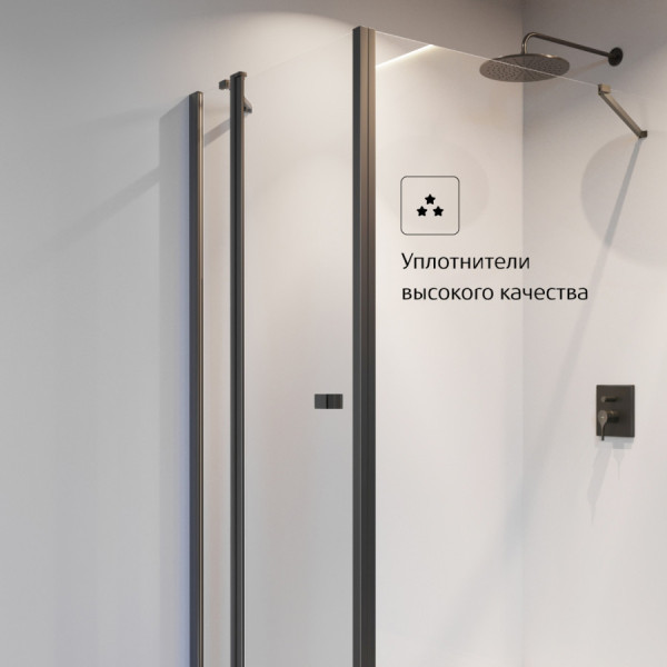 Душевая дверь Roca Capital 100x195 стекло прозрачное, профиль черный (7.M461.0.016.M)