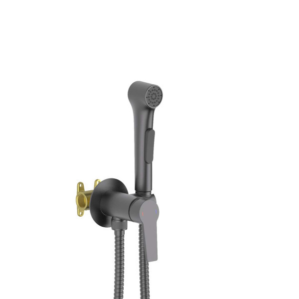 Смеситель с гигиеническим душем Aquatek Лугано встраиваемый оружейная сталь (AQ1719BGM) Смеситель с гигиеническим душем Aquatek Лугано встраиваемый оружейная сталь (AQ1719BGM)