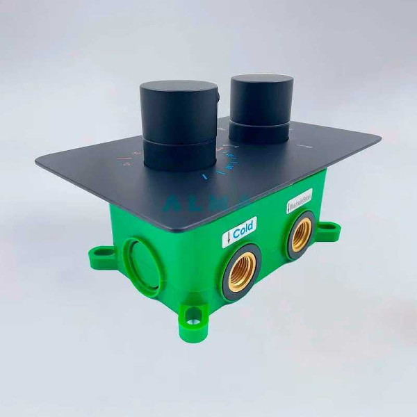 Душевая система ALMAes Weber черная матовая (TVZ-0808)